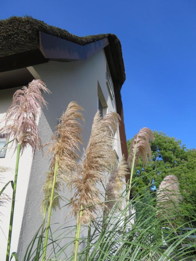 Boddenhaus Darss Apartment Wieck Exterior photo